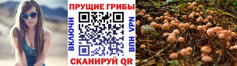 Галлюциногенные грибы мухоморы Ленск