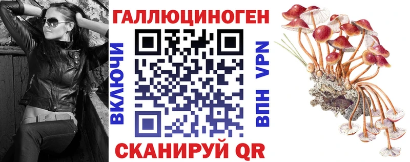Псилоцибиновые грибы Cubensis  наркота  Ленск 